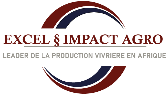 Excel § Impact Agro